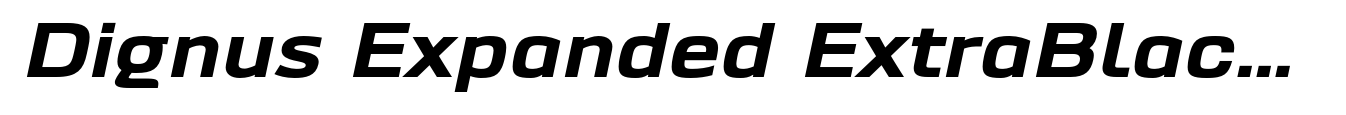 Dignus Expanded ExtraBlack Italic image